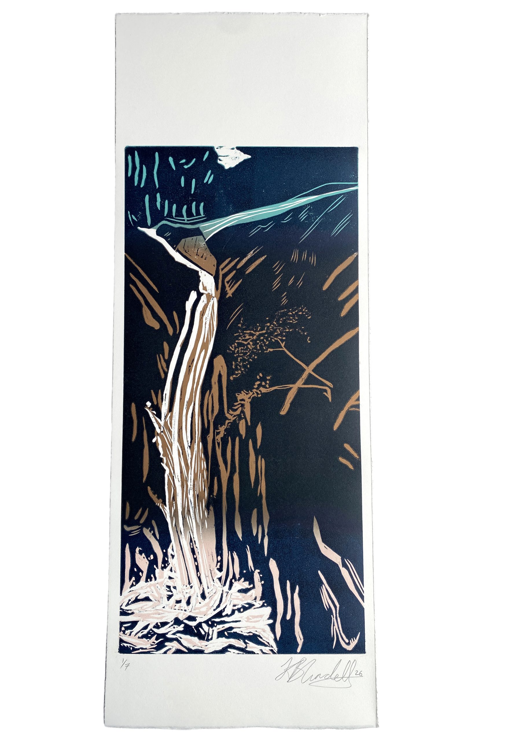 Waterfall 20/6/26