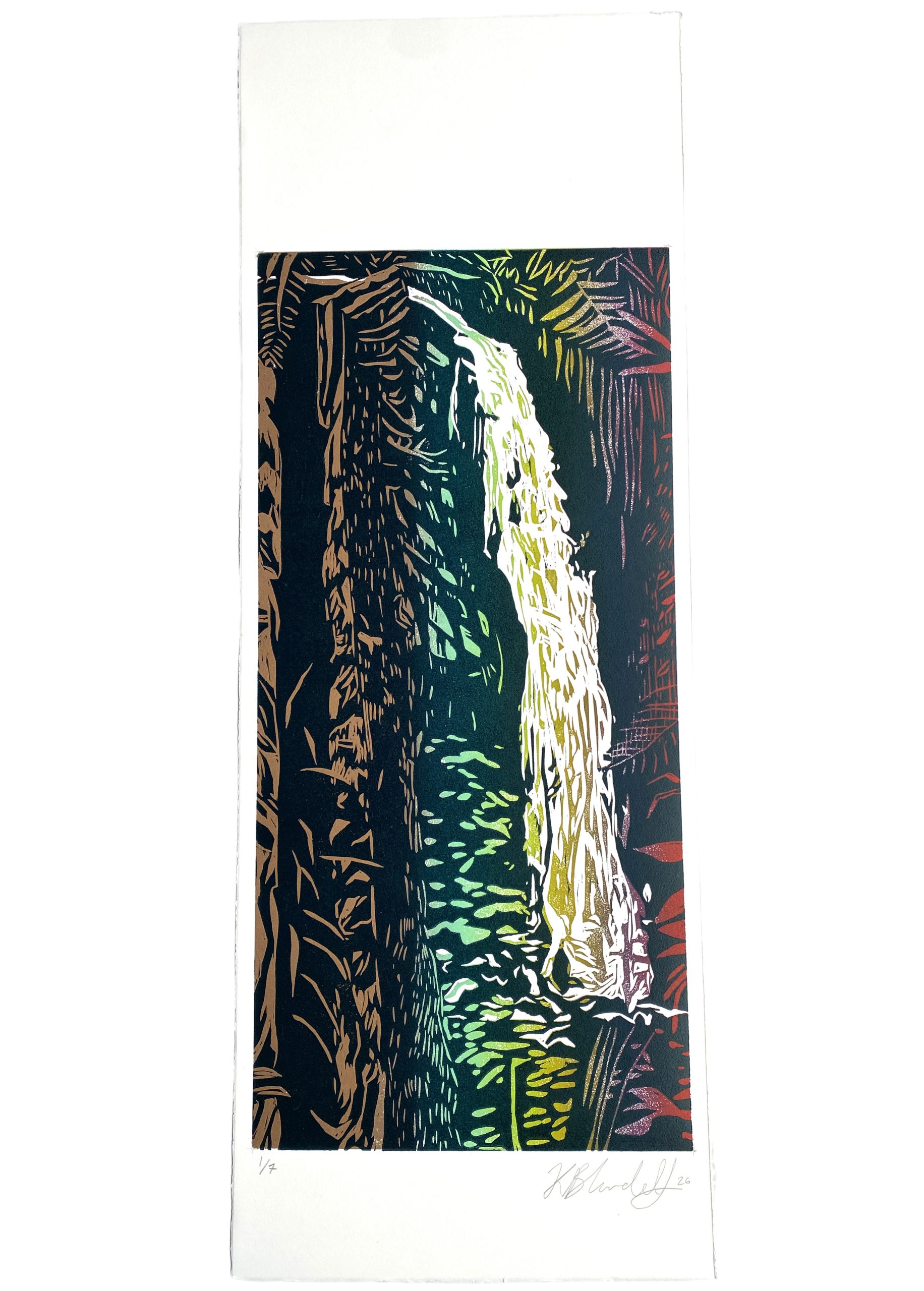 Waterfall 6/9/26